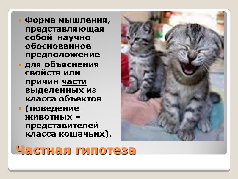 Частная гипотеза Форма мышления, представляющая собой  научно обоснованное предположение для объяснения свойств или